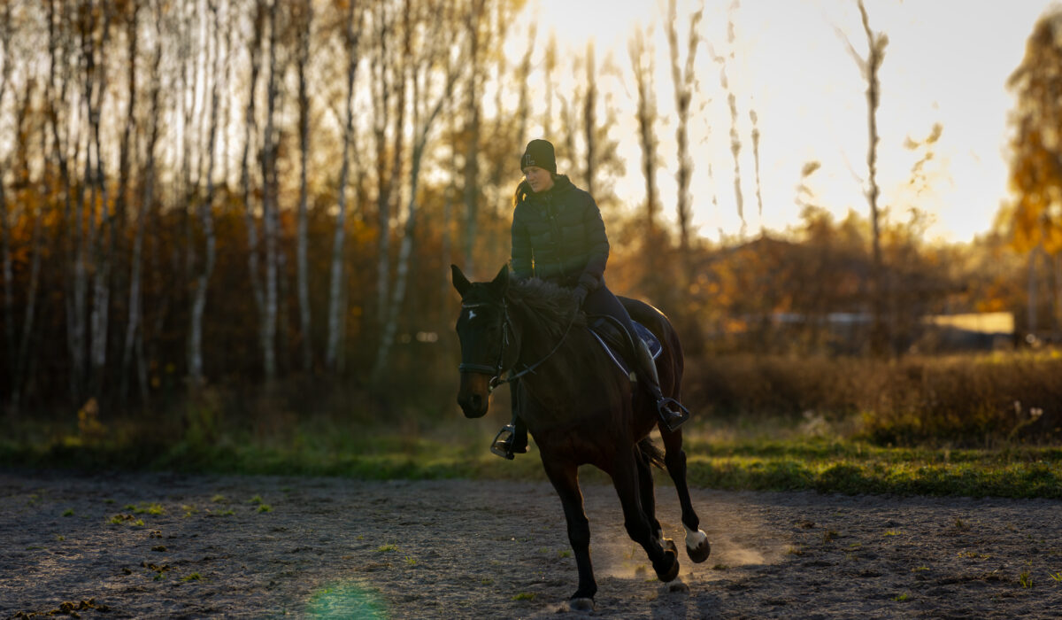 IMG_1561-Enhanced-NR