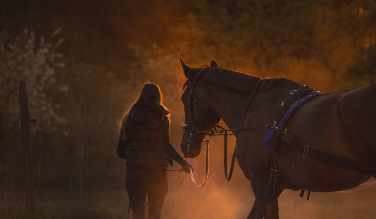 444A0489-Enhanced-NR